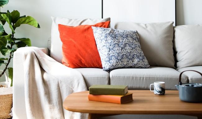 a couch with pillows coffee table and plant